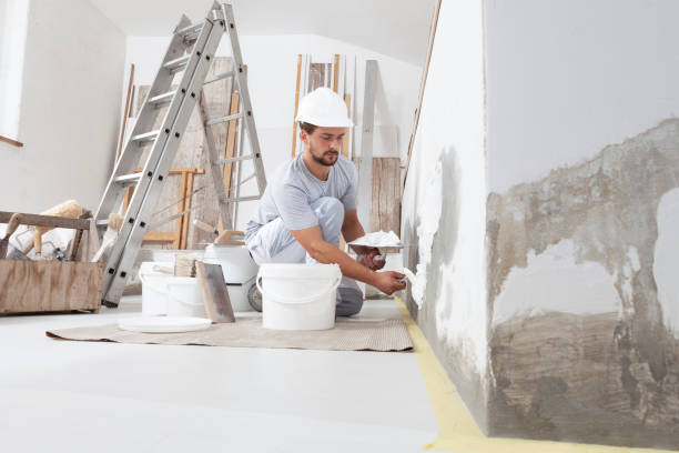 Reliable Texarkana, TX Mold Removal Solutions