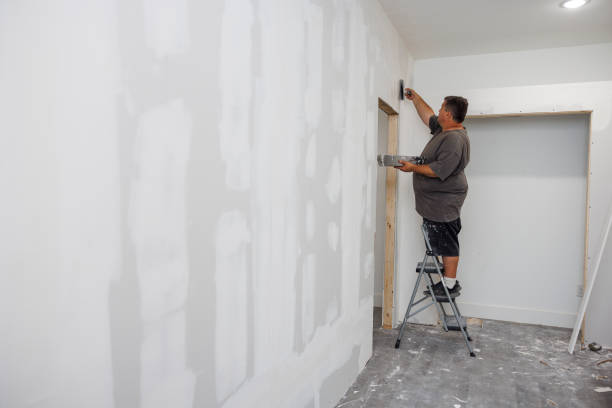 Best Mold Damage Restoration  in Texarkana, TX